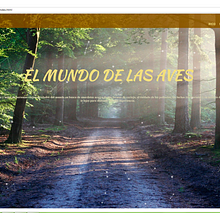 Pagina web. Web Development, and Web Design project by Ana De Gandarias - 12.01.2017