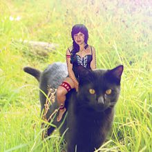 paseando sobre el gato. Un progetto di Fotografia di Noemi Ruiz - 01.12.2017