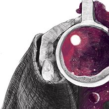 Editorial Planeta, Ilustración para Portada . Desain Editorial & Ilustrasi tradisional proyek oleh Alejandro GirOs - 10.12.2017