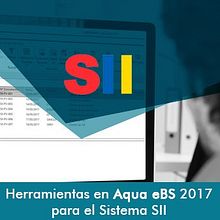 Publicidad - Normativa SII. Un projet de Design graphique , et Publicité de Jorge Miralles - 05.06.2017