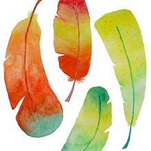 Plumas. Graphic Design project by Ceci O'Conor - 12.05.2017