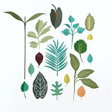 Leaves in paper (proposal). Un progetto di Direzione artistica e Illustrazione tradizionale di Diana Beltran Herrera - 07.12.2017