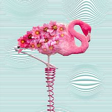 S A L T A. Design gráfico e Ilustração tradicional projeto de Carla JD - 07.12.2017