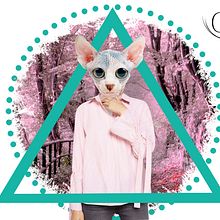F A N T A S I A. Un proyecto de Collage, Diseño gráfico, Ilustración tradicional y Retoque fotográfico de Carla JD - 07.12.2017