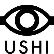 Direction and design for the Ushi eyewear. Un projet de Design graphique et Illustration traditionnelle de Flavio Ventre - 11.01.2013