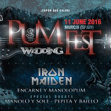 Pum Wedding Fest. Design, and Photograph project by Víctor Vidal - 06.11.2016
