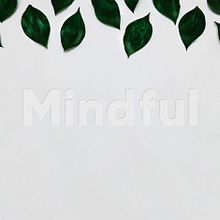 Mindful. Br, ing, Identit, Web Development, Art Direction, Graphic Design, Web Design, and UX / UI project by Jesús Román Ortega - 12.18.2017
