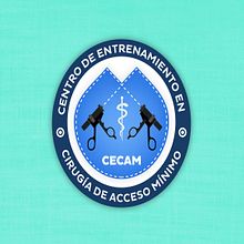 Creación y animación de logo para CECAM. Animation, Graphic Design, and Vector Illustration project by ENDRIX HERNANDEZ - 12.18.2017