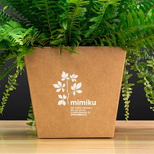 Mimiku. Product Design, and Packaging project by TGA - 12.20.2017