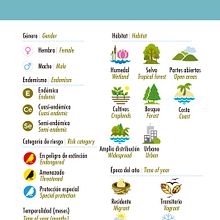 Iconografía: Aves de Colima.  project by Jonatan López Hernández - 07.01.2015