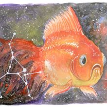 Carasius cola de galaxia Ein Projekt aus dem Bereich Traditionelle Illustration von Alejandro Bottini - 27.12.2017