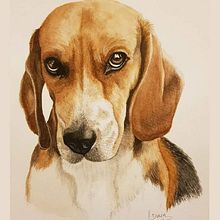 Lola (Watercolor) . % Soledad Durán tarafından hazırlanan Güzel sanatlar, Geleneksel illüstras, on, Ve Tablo projesi - 12.28.2017