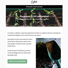 Inocentada_Newsletter. Un proyecto de Cop y writing de Ana Ruiz - 10.04.2017