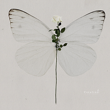 "Ousia libertas" Ein Projekt aus dem Bereich Collage und Traditionelle Illustration von Coral - 08.01.2018