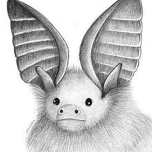Murcielagos chilenos 2. Fine Arts, Design, and Traditional illustration project by Marcela Nuñez - 03.15.2003