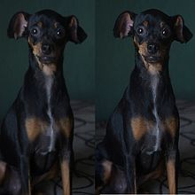 Photography, Retouching and Image Editing. Advertising, Design, Fine Arts, Lighting Design, and Photograph project by Ivan Martinez - 01.07.2018
