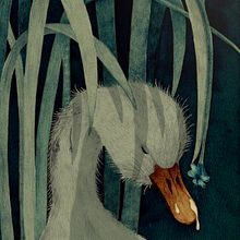 Ilustraciones para el clásico cuento "El patito feo". Un proyecto de Dirección de arte e Ilustración tradicional de Daniela Gallego - 01.03.2016