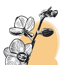 Ilustración Vectorial. Un projet de Illustration vectorielle de Victor Casillas Garcia - 09.01.2018