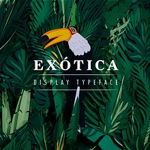 Exótica - Display typeface. Arts, Crafts, Graphic Design, Photograph, Traditional illustration, T, pograph, and Paper Craft project by Inés Marco Aguilar - 02.01.2017