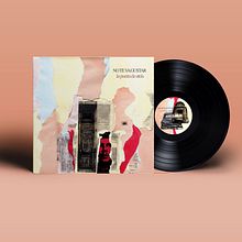 Vinilo No Te Va A Gustar. Design project by Carla Pagini - 01.12.2018