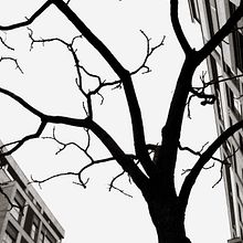 Street. Un progetto di Fotografia di Maria Hibou - 14.01.2018