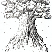 Baobab Ein Projekt aus dem Bereich Bildende Künste und Traditionelle Illustration von Joaquín Porcar Díaz - 07.06.2016