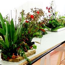Composiciones estilo vegetativo, Arte floral. Un progetto di Artigianato, Belle arti, Design e Eventi di Cristii Vs - 16.01.2018