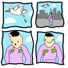Bird. Comic project by Javier Eme Uve - 11.29.2017