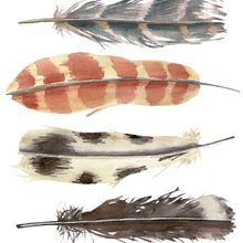 Plumas en "greige" Ein Projekt aus dem Bereich Traditionelle Illustration von Alejandro Bottini - 17.01.2018
