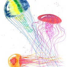 Medusas en acuarela Ein Projekt aus dem Bereich Traditionelle Illustration von Alejandro Bottini - 17.01.2018