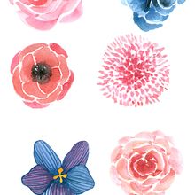 Flores Ein Projekt aus dem Bereich Traditionelle Illustration von Alejandro Bottini - 17.01.2018