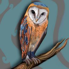 Owl. Fine Arts, and Traditional illustration project by La gata Sobre el tejado - 01.23.2018