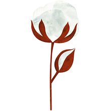 Flor de algodón. Een project van Productontwerp, Traditionele illustratie y Vectorillustratie van María León - 25.01.2018