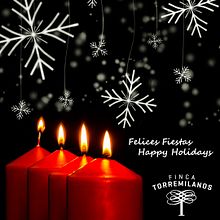 Felicitaciones navideñas Torremilanos. Graphic Design project by David Muñoz del Sastre - 12.24.2017