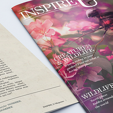 Magazine. Un proyecto de Diseño, Diseño editorial, Retoque fotográfico y Diseño gráfico de cr3bl - 25.01.2018