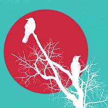 Los cuervos son rencorosos y nunca olvidan una cara. Un progetto di Graphic design di inma caos - 26.01.2018