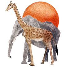 Ilustración digital con lápices de colores. Traditional illustration project by Begoña Seoane - 01.28.2018