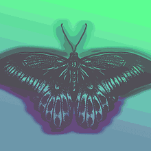 Some Gifs!. Un proyecto de Animación, Diseño y Diseño gráfico de Kevin Chichoa - 30.01.2018