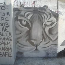 graffitis. Projekt z dziedziny Sztuka miejska użytkownika jorge rofso lopez - 31.01.2018