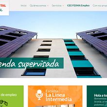 Web Fesma. Web Development project by David Muñoz del Sastre - 11.23.2009