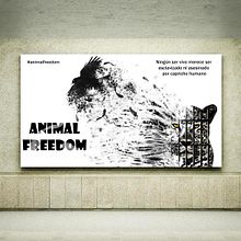 Campaña de Concienciación sobre la Libertad Animal 1. Graphic Design, Design, and Advertising project by Isabel Resinas Arias de Reyna - 02.07.2017