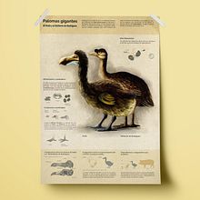 003. Un proyecto de Ilustración tradicional e Infografía de bran_bran - 04.02.2018