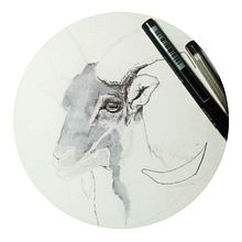 Serie animales. Un proyecto de Ilustración tradicional de raquel de castro muñoz - 05.02.2018