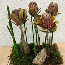 Centro Formal Paralelo monocultivo. Arte Floral. Un progetto di Artigianato, Belle arti, Design e Eventi di Cristii Vs - 06.02.2018