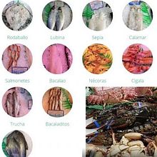 Pescadería Vallinas. Un proyecto de Desarrollo Web de Javier Alvarado Bertólez - 10.05.2017