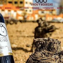 Vinos y bodegas. Un proyecto de Desarrollo Web y Diseño Web de Javier Alvarado Bertólez - 10.01.2017