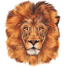 Illustration. Un proyecto de Ilustración tradicional de Daniel Fernández Izquiano - 15.02.2018