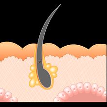 FLash animation. Laser operation for hair removal.. Un progetto di Animazione e Design di María Terrazas Alber - 16.02.2018