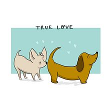 Dog lovers. Un progetto di Illustrazione tradizionale di Estefanía C.M. - 19.02.2018