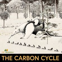 El Ciclo de Carbono. Un progetto di Motion graphics di Iago López Vicente - 20.02.2018